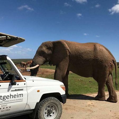 Hitgeheim Country Lodge Addo Εξωτερικό φωτογραφία