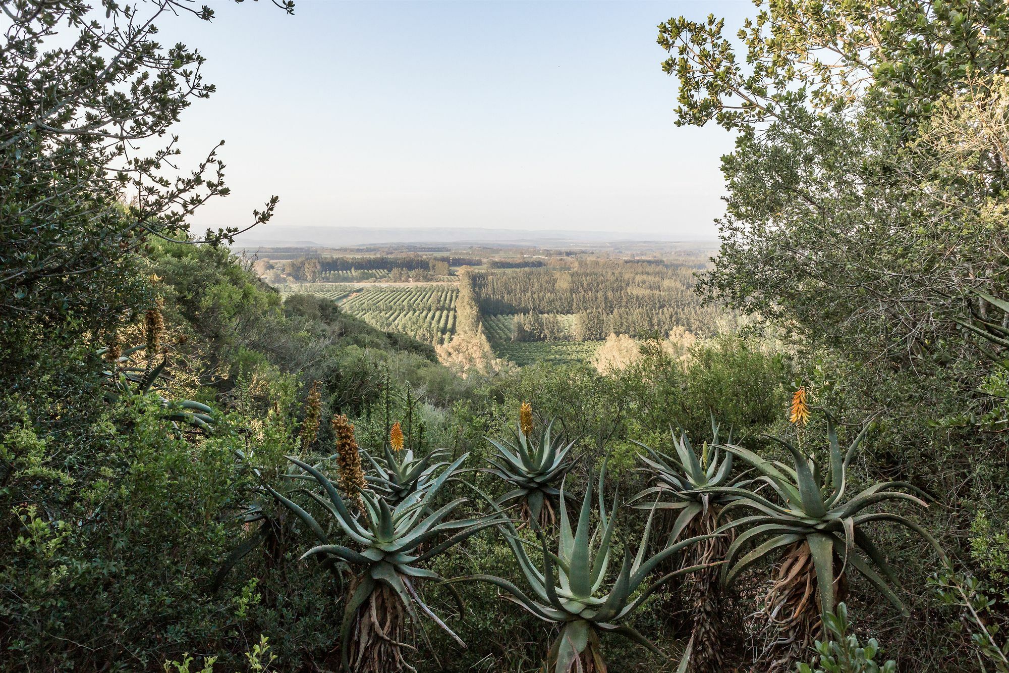 Hitgeheim Country Lodge Addo Εξωτερικό φωτογραφία